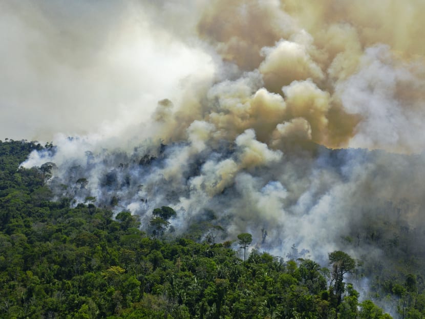 Deforestation has been going on on an industrial scale in the Amazon (pictured) under the far-right government of Brazilian President Jair Bolsonaro. Brazil has backed the pledge to end deforestation by 2030.