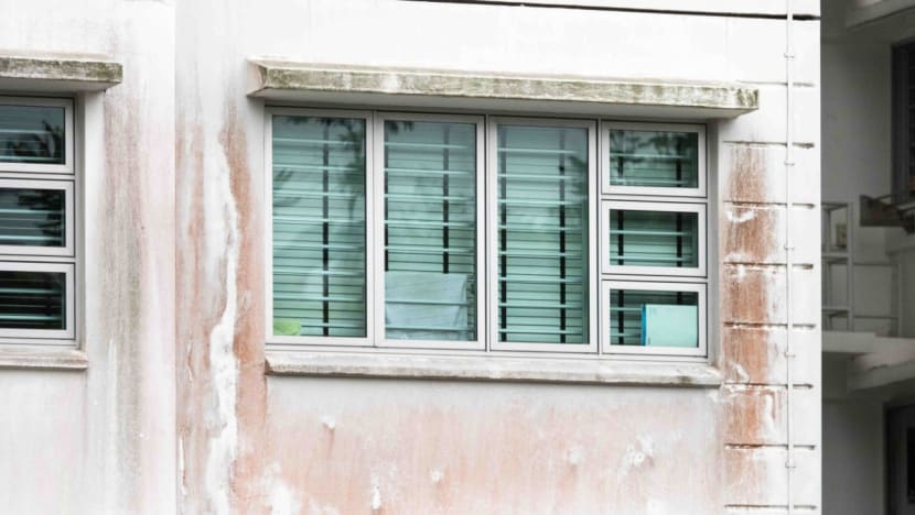 Punggol BTO residents also complain of mouldy facade; HDB says all new flats get 2 coats of algae-resistant paint