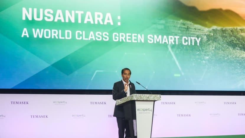 Indonesia's new capital project to continue after leadership change, 'world-class' Nusantara a good place to invest: Jokowi