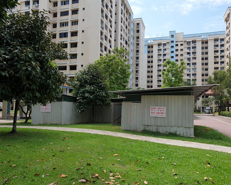 Fall in new dengue cases in Singapore’s worst dengue cluster in Woodlands: NEA