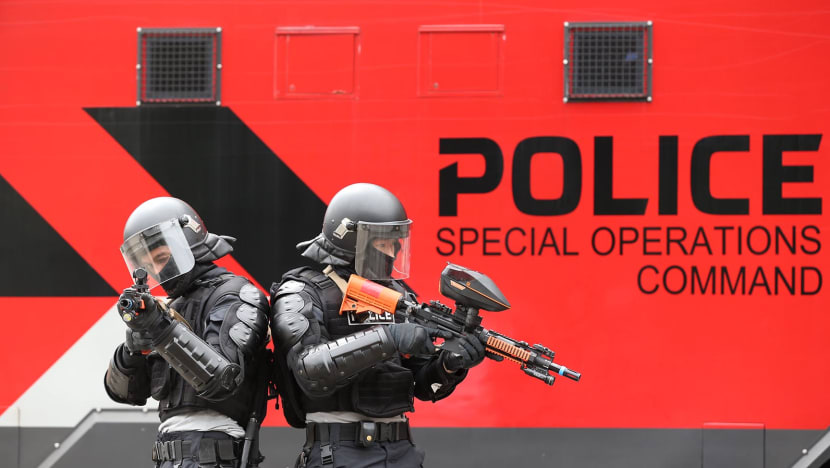 First batch of public order police  to be formed by Sept next year