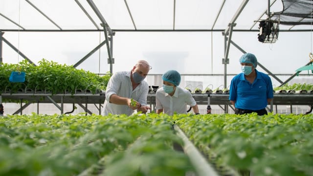 马国蔬菜价格或因水灾上涨 傅海燕鼓励国人购买本地农产品