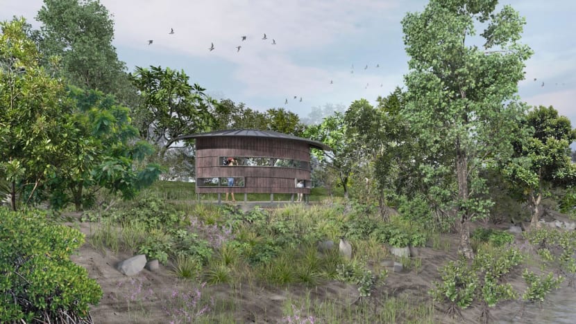 Mandai mangrove park to open in 2028, set to become Singapore's third-largest nature park Mandai mangrove park to open in 2028, set to become Singapore's third-largest nature park
