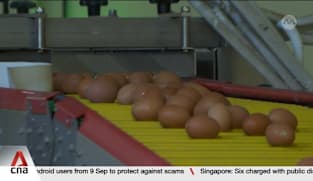 Supporting local farms: Stockpiling fertiliser, granting tax relief among ideas raised by MPs