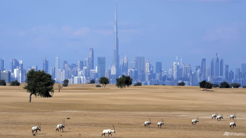 With little natural resources, Dubai turns to science and technology for its water With little natural resources, Dubai turns to science and technology for its water