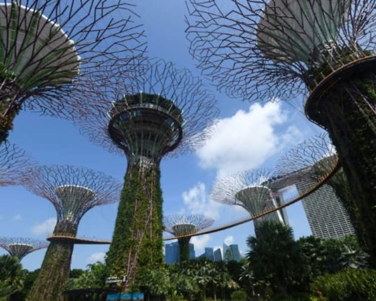 Commentary: Race for scarce talent in green finance looming in Singapore