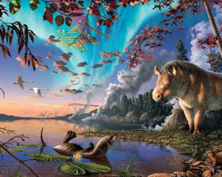Hornless rhino roamed Canadian High Arctic 23 million years ago