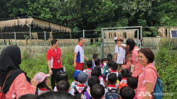 Related article image