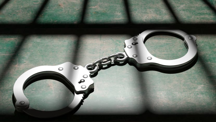 Self-radicalised 15-year-old deemed an ‘imminent security threat’, would have carried out violent plans if not detained: ISD