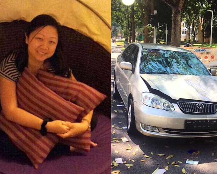 Sleepy driver who killed pedestrian jailed 3 months, banned from driving for 5 years