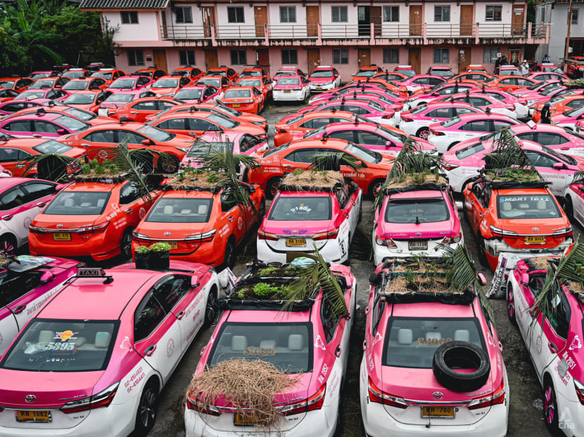 Taxi cab gardens emerge in Bangkok as drivers quit and debts grow