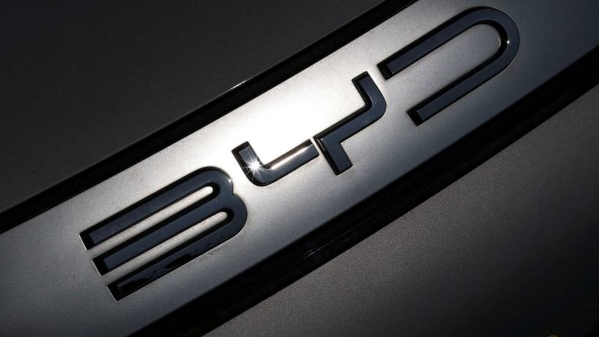BYD's first-quarter profit doubles - Channel News Asia (Picture 1)