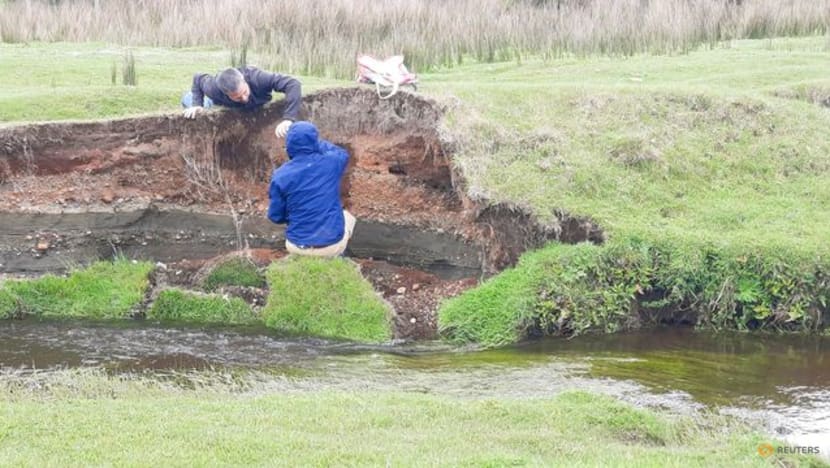Study suggests younger age for Chile's important Monte Verde archaeological site