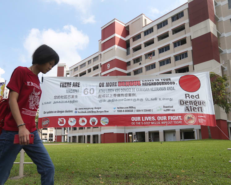 The Big Read: As temperatures and urbanisation increase, fight against dengue will only get tougher