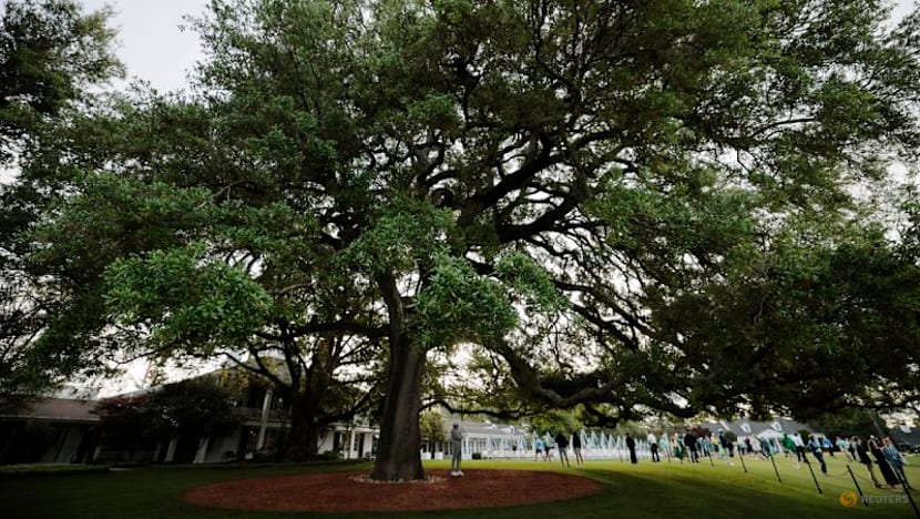 At the Masters, Augusta National's oak tree is where the golf does its deals