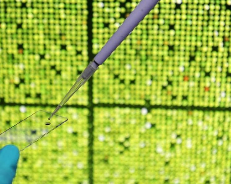 So near, yet so far: Aspiring parents and their embryos separated by the pandemic