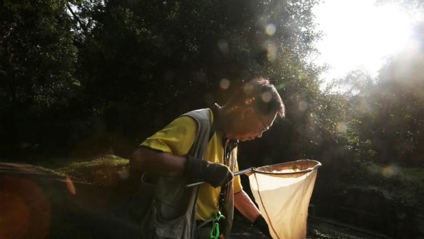 Penyelidik lelabah, Edible Garden City antara 5 pemenang Anugerah Presiden bagi Sekitaran