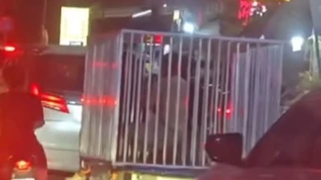 柬埔寨“狗笼运人”视频惹议 车主称是临时安排