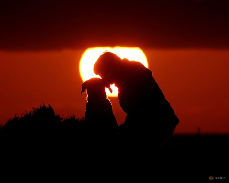 Genetic study identifies earliest-known dog, dating to 15,800 years ago