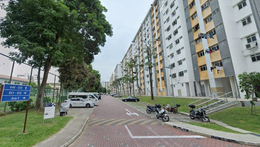 Man arrested over alleged cat abuse at Ang Mo Kio 