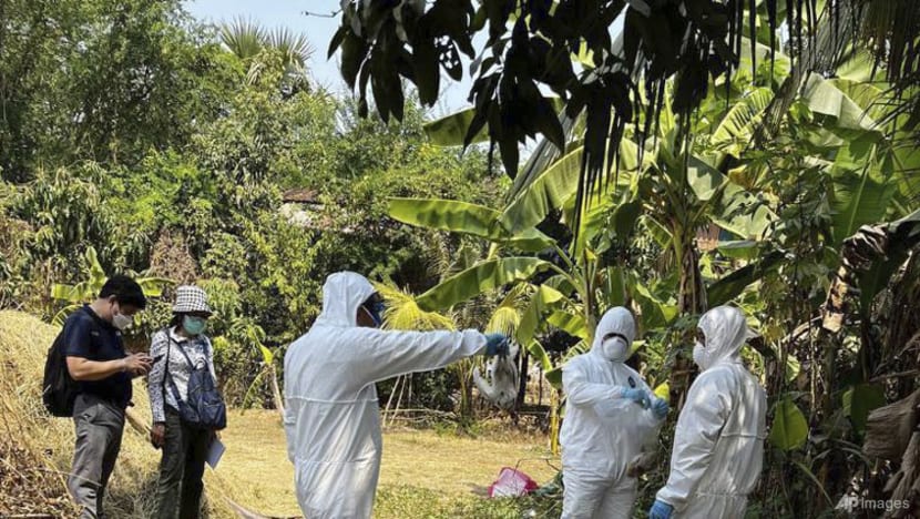 Cambodia says recent bird flu cases not spread by humans Cambodia says recent bird flu cases not spread by humans