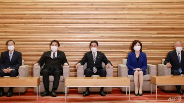 日本改组内阁 九人是首次入阁 另有五人留任