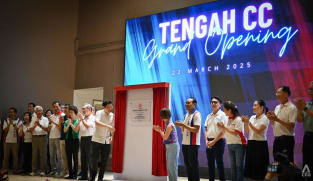 GE2025: Amenities, connectivity in Tengah have improved; could become 'better than Punggol', says PM Wong