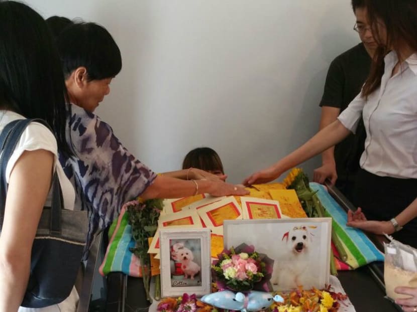 Saying goodbye: Owners go the extra mile for their pet’s final journey