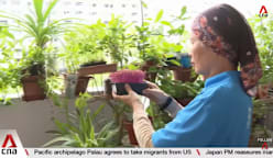 Social service agencies boosting support amid rise in seniors living alone