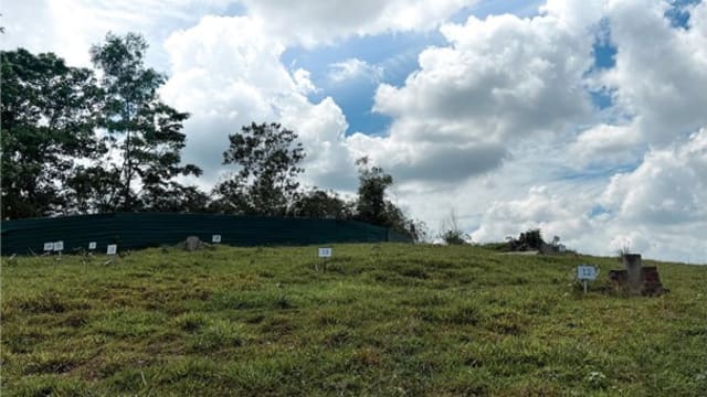 圣约翰教堂旧址坟墓将被挖掘 为登加组屋建造工程让路