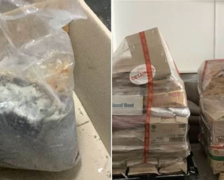 Korean food importer Jin Global, firm director fined over unlicensed cold store 