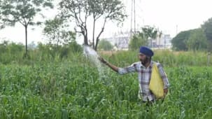இந்தியாவில் குறையும் உரம் உற்பத்தி