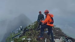 Related article image