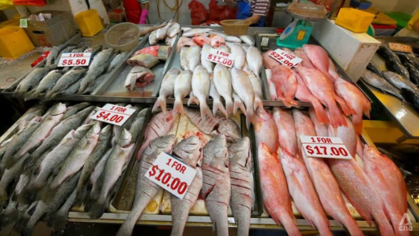 Ikan tempatan selamat dimakan; 'risiko rendah' minyak merebak ke ladang berhampiran: SFA