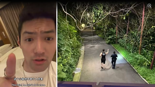 滨海湾花园看灯光秀  中国游客LV包被偷