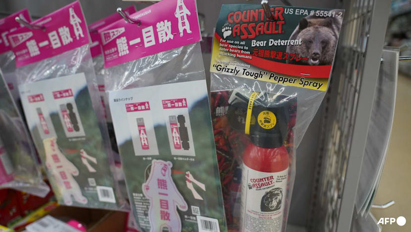 Bear spray goes off in Japan post office, five hospitalised