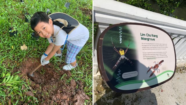 【笔耕园地】植树活动带来的小惊喜
