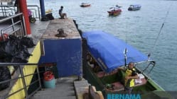 Related article image