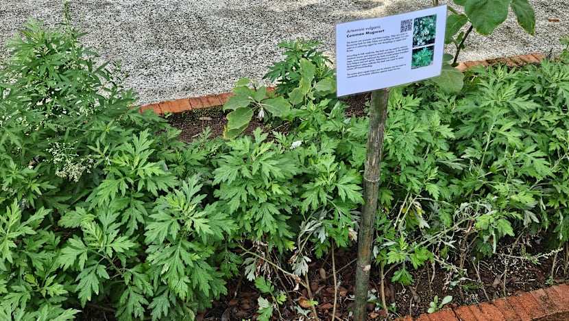 Related article image