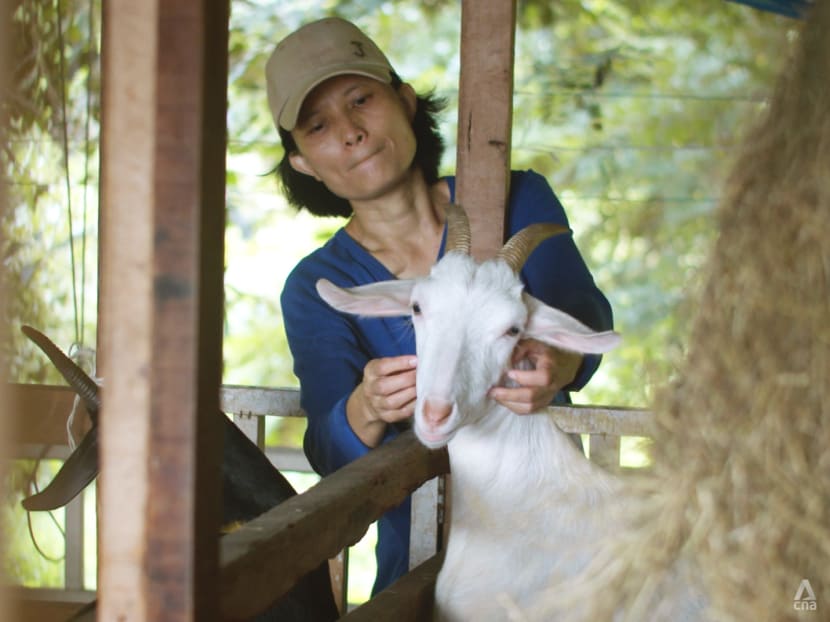 Meet Thailand’s first female cheesemaker producing artisanal goat’s cheese Meet Thailand’s first female cheesemaker producing artisanal goat’s cheese