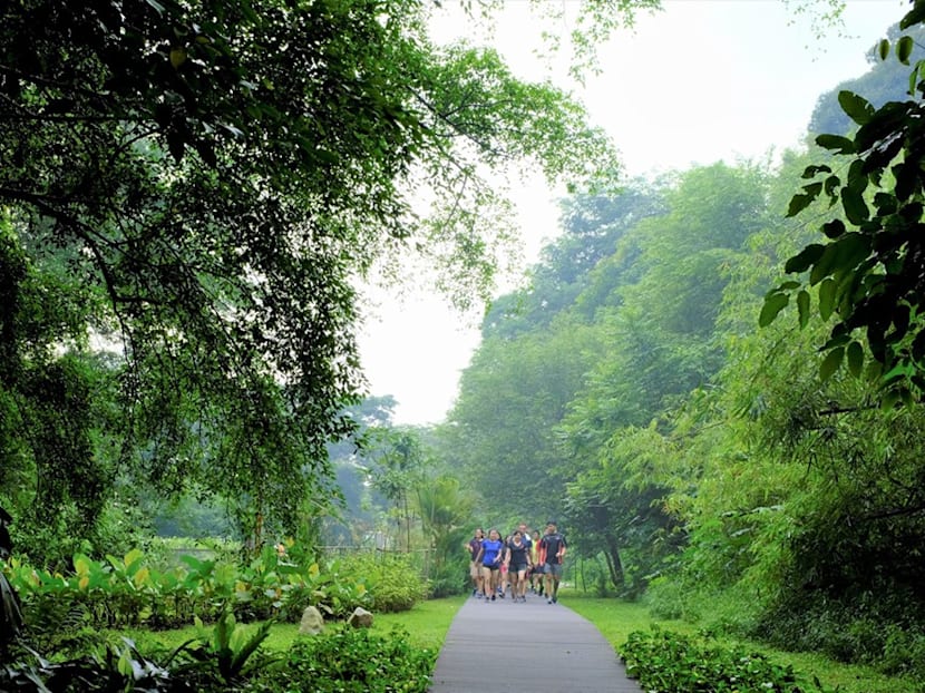 What’s the rationale for rules on picking and plucking fruits on state land?