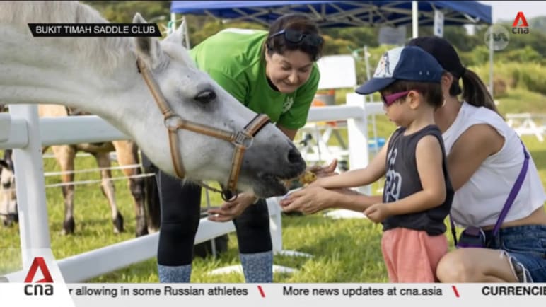 Riding schools in Singapore see around 15% increase in queries about sport
