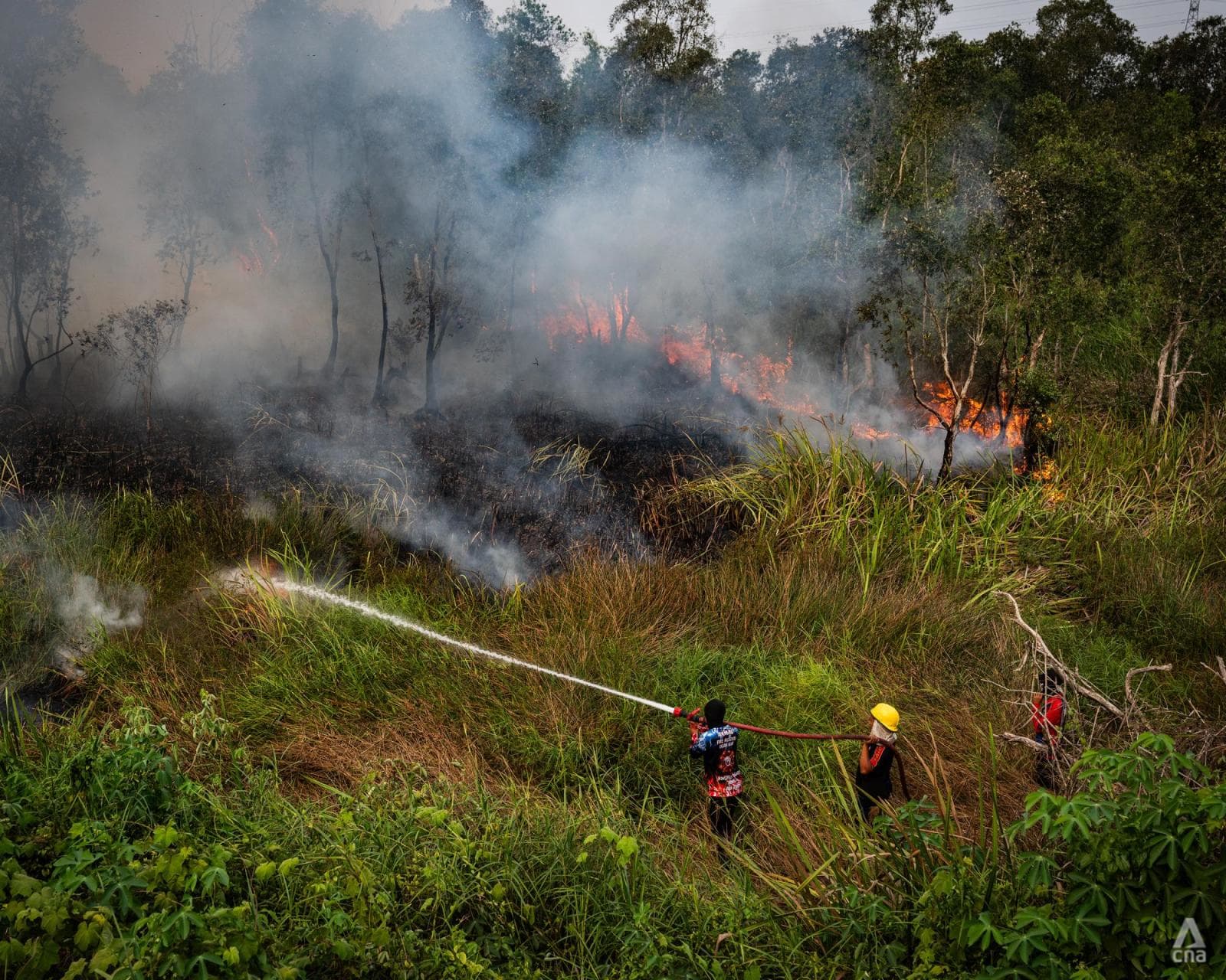 'Cuma bisa menunggu dan berharap': Kabut asap karhutla ganggu mata pencaharian warga di Sumatra