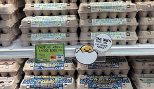 United States imports eggs from Korea, Türkiye to help ease prices