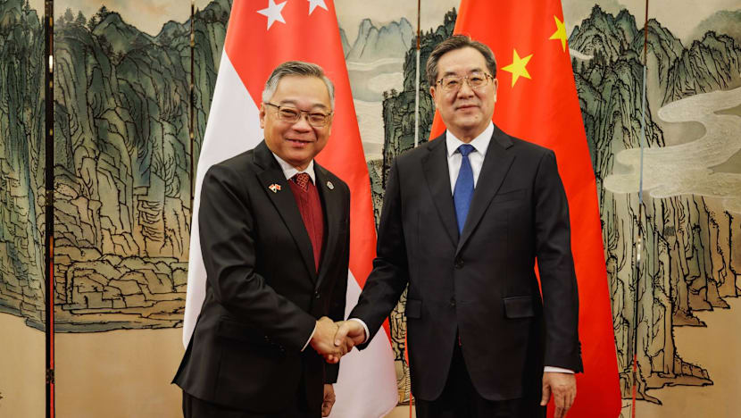 Singapore, China leaders hail growing ties, sign 27 agreements at annual apex meeting to deepen cooperation