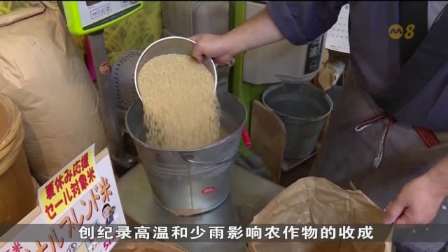 日本白米价格飙涨 民众大喊吃不消