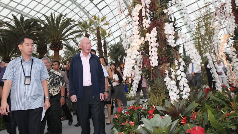 From mudflat to metropolis