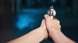 Related article image