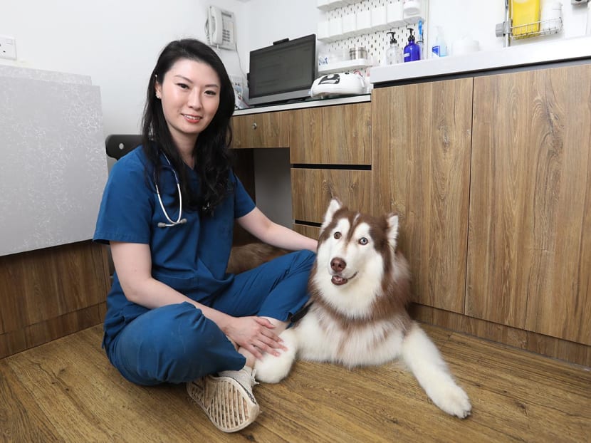 Gen Y Speaks: Demanding customers, exposure to animal suffering put vets at higher risk of self-harm. But I continue to be one Gen Y Speaks: Demanding customers, exposure to animal suffering put vets at higher risk of self-harm. But I continue to be one