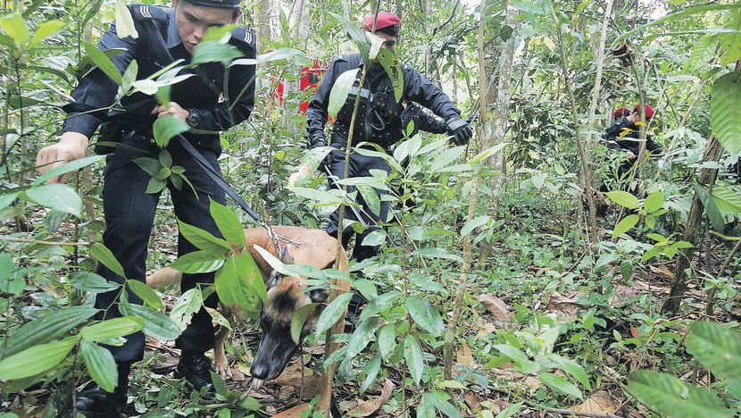 Terror group Jemaah Islamiyah poised to make a comeback, observers say